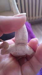 DSC 0109 Kopia DSC 0109 Kopia