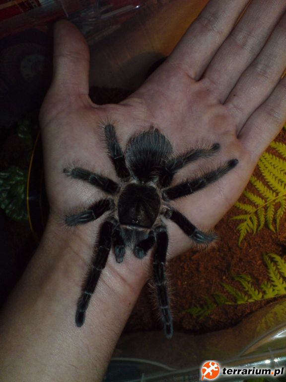 ;D