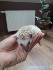 20150910 164346 20150910 164346