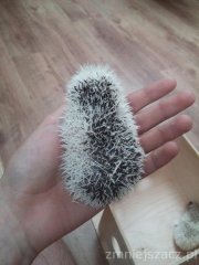 20150910 164530 20150910 164530