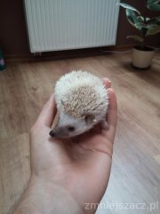 20150910 164351 20150910 164351