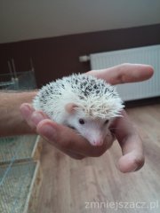 20150910 164609 20150910 164609