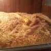 20121105 211107 (Kopiowanie)