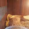20121109 140248 (Kopiowanie)