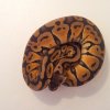 20121109 141635 (Kopiowanie)