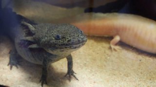 20150919 211446 20150919 211446