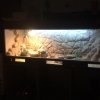 IMG 1644 (Copy)