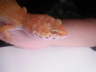 20151126 200959. 20151126 200959.