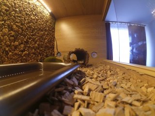 Odpoczynek Odpoczynek