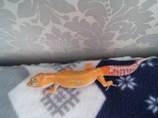 20160130 124237 HDR 20160130 124237 HDR