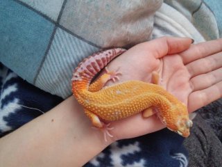 20160130 123413 HDR 20160130 123413 HDR