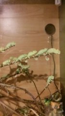 20160114 215308 20160114 215308