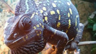 20160226 114513 20160226 114513