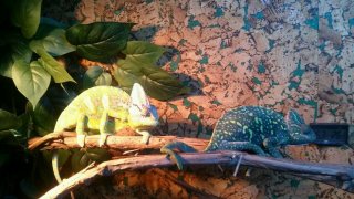 20150525 1847466 20150525 1847466