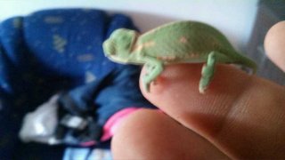 20160525 065433 20160525 065433