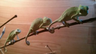 20160112 204130 20160112 204130