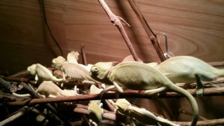 20160109 092257 1 20160109 092257 1