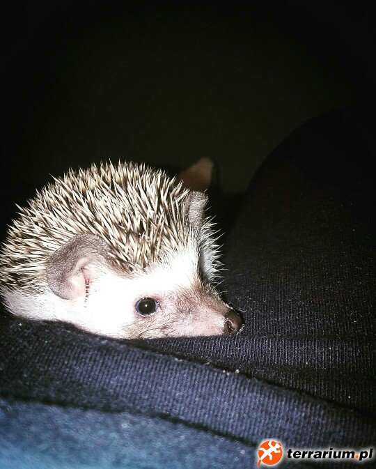 :)