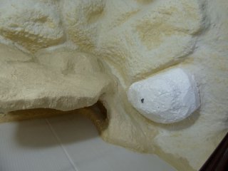 33. Dobudowa 33. Dobudowa