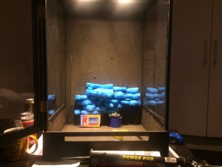IMG 1900