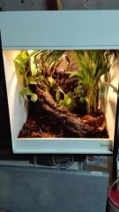 IMG 20160705 212038 IMG 20160705 212038