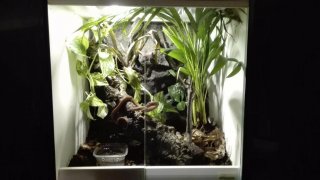 IMG 20160705 220158 IMG 20160705 220158