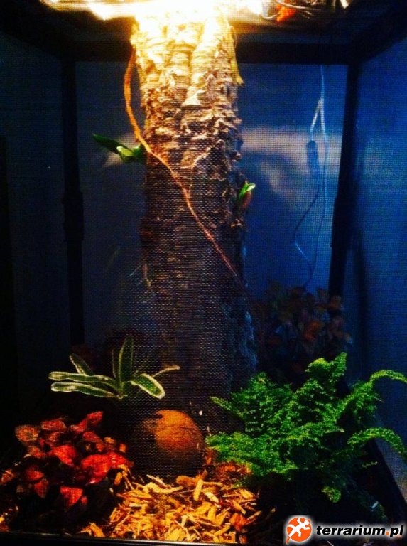Flexarium 45x45x60 Flexarium 45x45x60