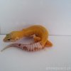 20160720 101458