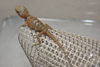 IMG 7786 (Medium) IMG 7786 (Medium)