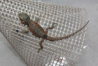 IMG 7824 (Medium) IMG 7824 (Medium)