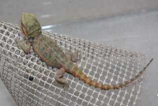 IMG 7887 (Medium) IMG 7887 (Medium)