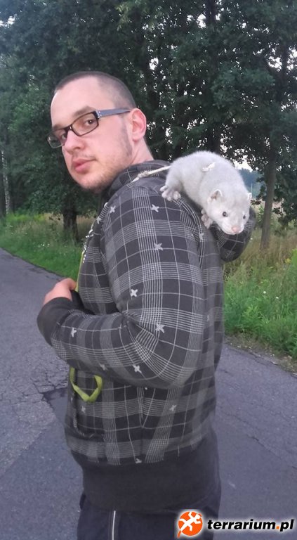 Drako
