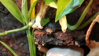 2017 01 13 18.10.08 2017 01 13 18.10.08