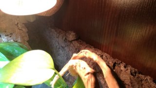 2017 01 09 19.40.22 2017 01 09 19.40.22