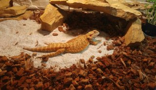 20170125_232539 20170125_232539