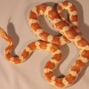 candy cane