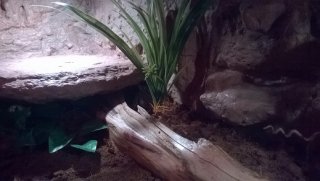 WP 20170214 003 WP 20170214 003