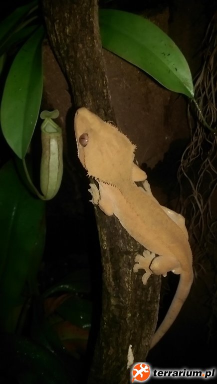 IMAG0840