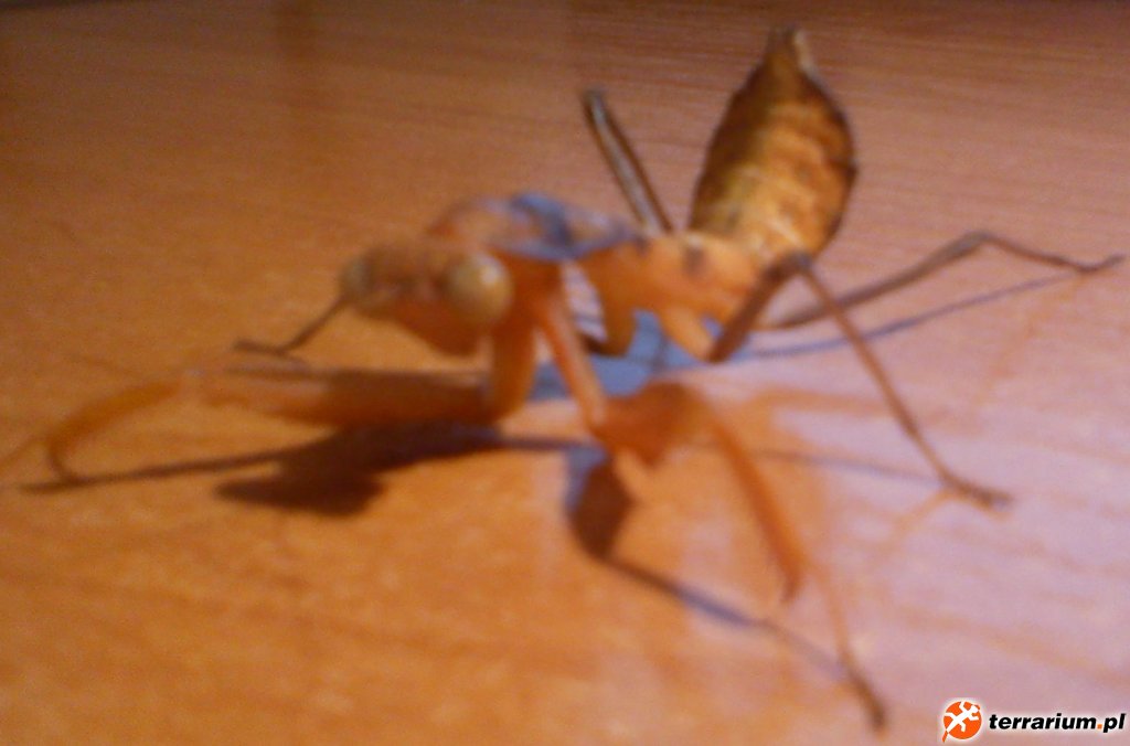 IMG 20121112 184710