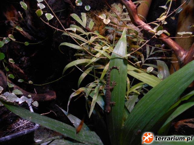 DSCN0158[1]