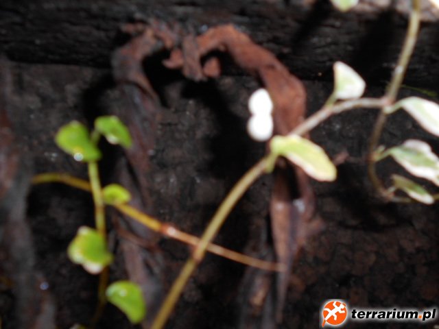 DSCN0237[1]