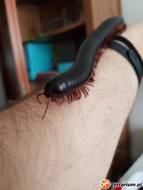 Wędrówka po reku