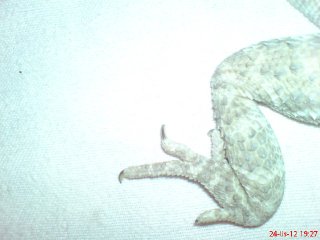 DSC01186