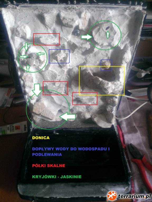 WP 20200613 002