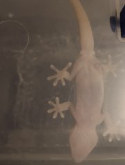 IMG 20210222 040156244 01 IMG 20210222 040156244 01