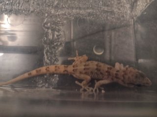 IMG 20210222 040056461 01 IMG 20210222 040056461 01