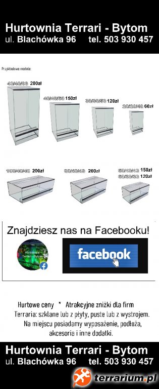 mini oferta