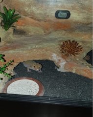 IMG 20220120 WA0013