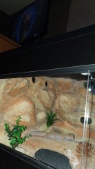 IMG 20220121 WA0012
