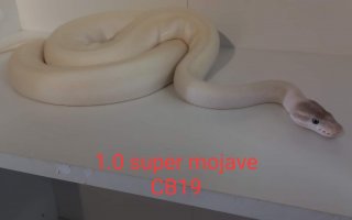 received 745005450282854 received 745005450282854